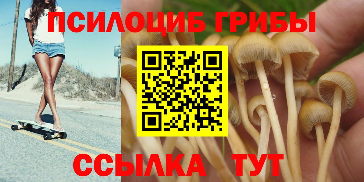 Галлюциногенные грибы GOLDEN TEACHER  Вход с VPN  Качканар 